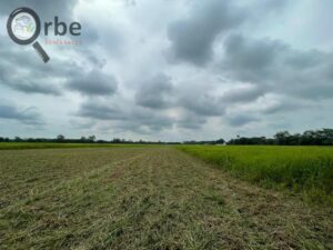 Terreno en venta, Ranchería Rio Viejo, carretera Villahermosa- Reforma; Centro, Tabasco