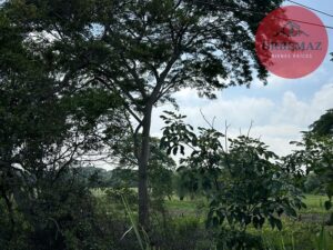 Terreno en venta, Ranchería Villa Parrilla, Sector Huapinol; Centro, Tabasco