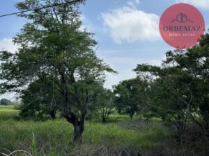 Terreno en venta, Ranchería Villa Parrilla, Sector Huapinol; Centro, Tabasco