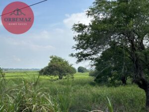 Terreno en venta, Ranchería Villa Parrilla, Sector Huapinol; Centro, Tabasco