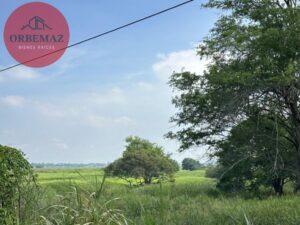 Terreno en venta, Ranchería Villa Parrilla, Sector Huapinol; Centro, Tabasco