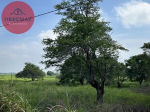 Terreno en venta, Ranchería Villa Parrilla, Sector Huapinol; Centro, Tabasco